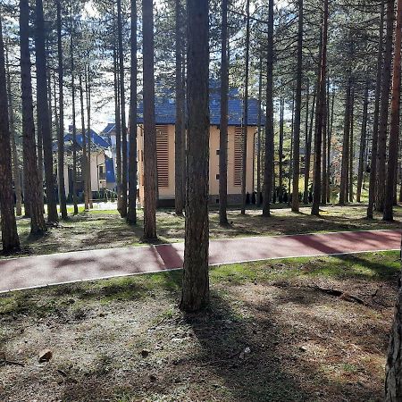 Zlatibor M Διαμέρισμα Εξωτερικό φωτογραφία