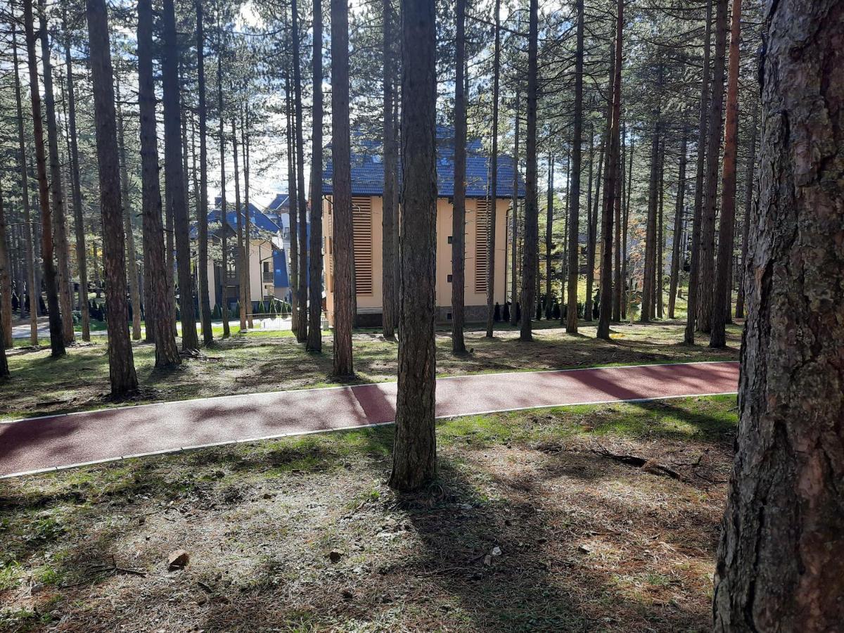 Zlatibor M Διαμέρισμα Εξωτερικό φωτογραφία