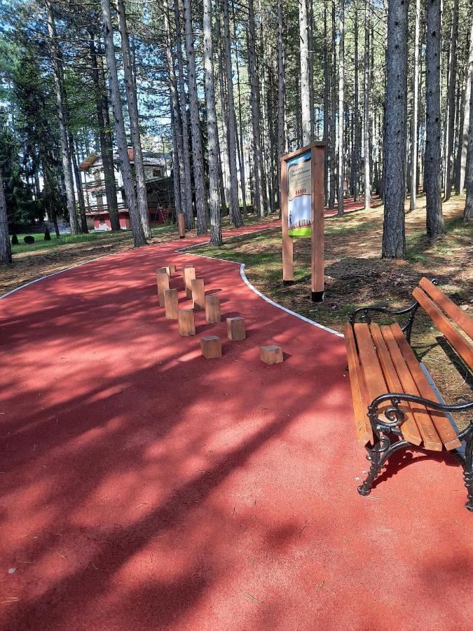 Zlatibor M Διαμέρισμα Εξωτερικό φωτογραφία