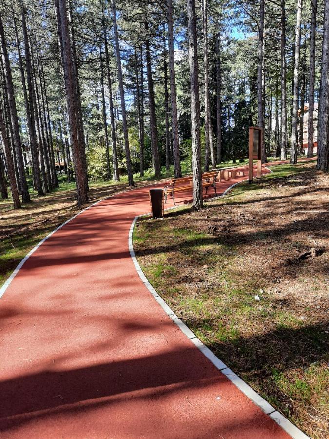 Zlatibor M Διαμέρισμα Εξωτερικό φωτογραφία